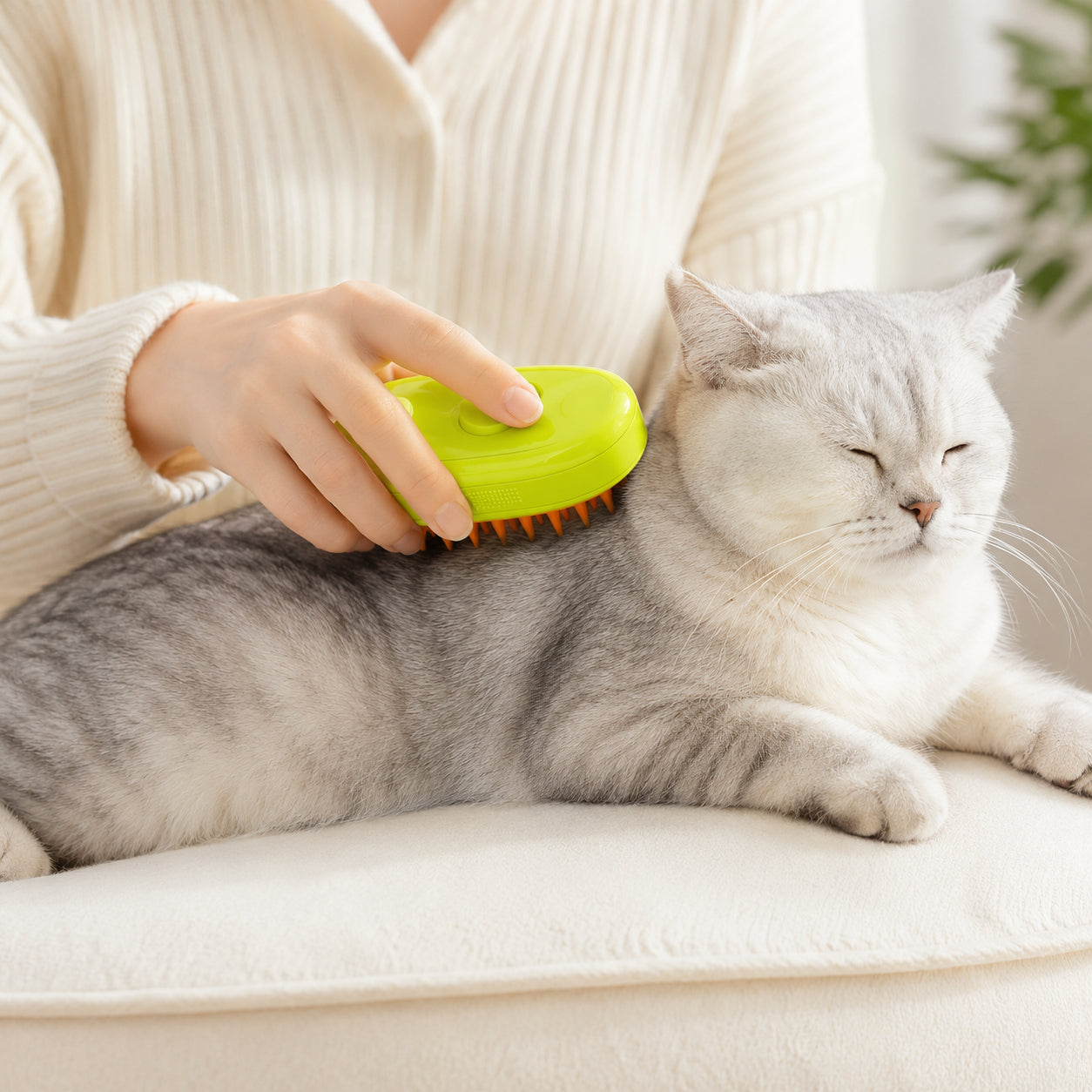 Five minutes a day and the fur problem is gone
